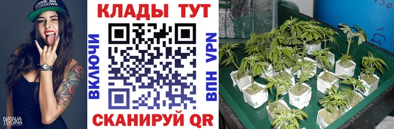Купить ГАШ Каннабис Меф Зубцов