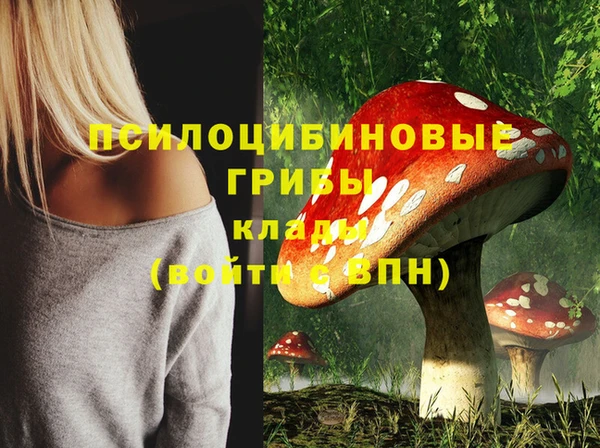 экстази Каменск-Шахтинский