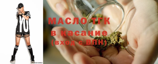 ешки Инта