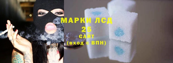 ешки Инта