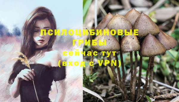 ешки Инта