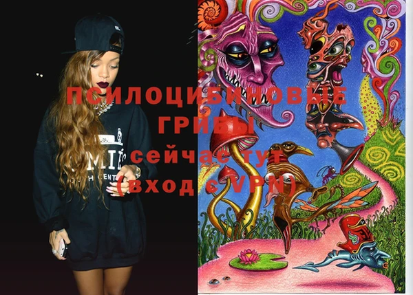 винт Инсар