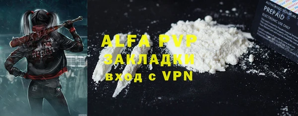 ешки Инта